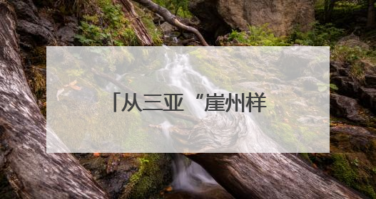 从三亚“崖州样本”看人才培养如何技高一筹