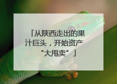 从陕西走出的果汁巨头，开始资产“大甩卖”