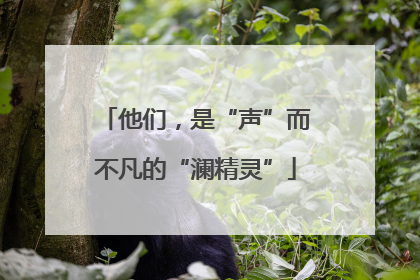 他们，是“声”而不凡的“澜精灵”