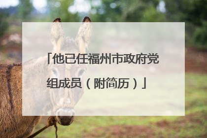 他已任福州市政府党组成员（附简历）