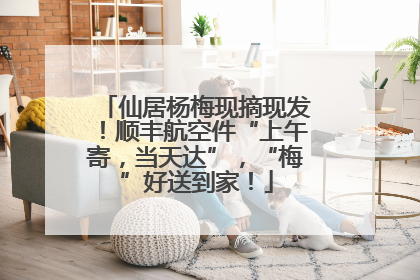 仙居杨梅现摘现发！顺丰航空件“上午寄，当天达”，“梅”好送到家！