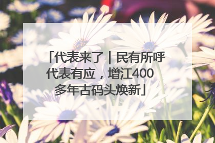 代表来了｜民有所呼代表有应，增江400多年古码头焕新