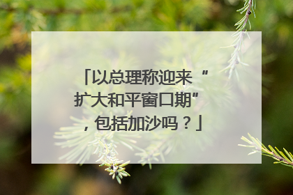 以总理称迎来“扩大和平窗口期”，包括加沙吗？