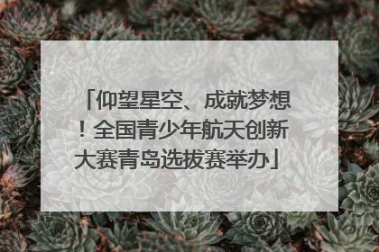 仰望星空、成就梦想！全国青少年航天创新大赛青岛选拔赛举办