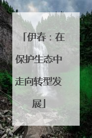 伊春：在保护生态中走向转型发展