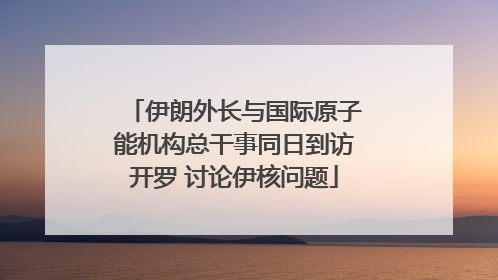 伊朗外长与国际原子能机构总干事同日到访开罗 讨论伊核问题