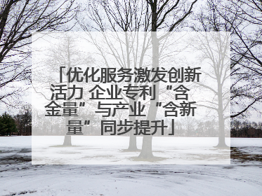 优化服务激发创新活力 企业专利“含金量”与产业“含新量”同步提升