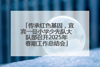 传承红色基因，宜宾一曼小学少先队大队部召开2025年春期工作总结会