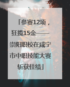 参赛12项，狂揽15金——崇阳职校在咸宁市中职技能大赛斩获佳绩