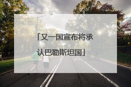 又一国宣布将承认巴勒斯坦国