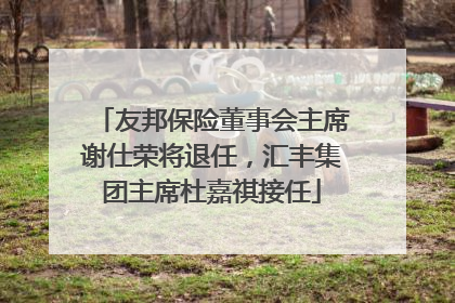 友邦保险董事会主席谢仕荣将退任，汇丰集团主席杜嘉祺接任