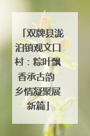 双牌县泷泊镇观文口村：粽叶飘香承古韵 乡情凝聚展新篇