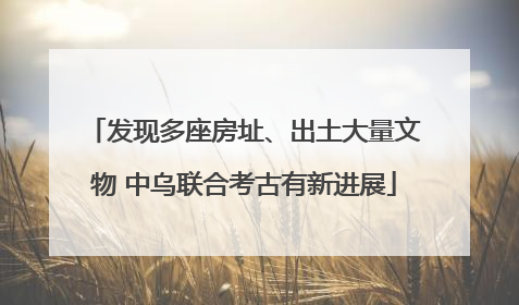发现多座房址、出土大量文物 中乌联合考古有新进展