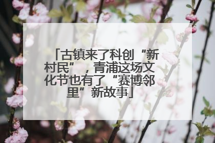 古镇来了科创“新村民”，青浦这场文化节也有了“赛博邻里”新故事