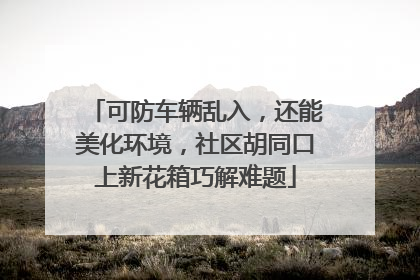 可防车辆乱入，还能美化环境，社区胡同口上新花箱巧解难题