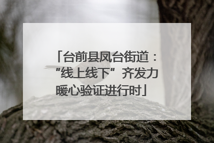 台前县凤台街道：“线上线下”齐发力 暖心验证进行时