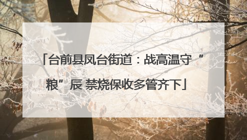 台前县凤台街道：战高温守“粮”辰 禁烧保收多管齐下