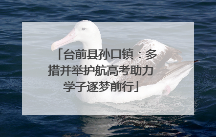台前县孙口镇：多措并举护航高考助力学子逐梦前行