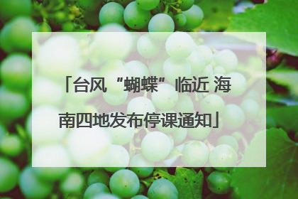 台风“蝴蝶”临近 海南四地发布停课通知