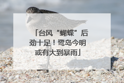 台风“蝴蝶”后劲十足！鹭岛今明或有大到暴雨
