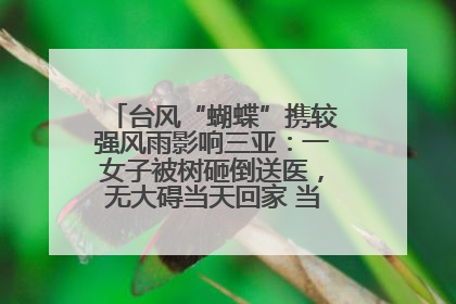 台风“蝴蝶”携较强风雨影响三亚：一女子被树砸倒送医，无大碍当天回家 当地已紧急清障