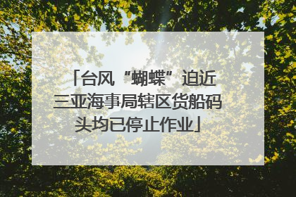 台风“蝴蝶”迫近 三亚海事局辖区货船码头均已停止作业