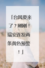 台风要来了？刚刚！瑞安连发两条黄色预警！