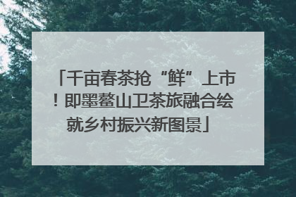 千亩春茶抢“鲜”上市！即墨鳌山卫茶旅融合绘就乡村振兴新图景