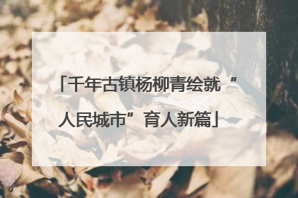 千年古镇杨柳青绘就“人民城市”育人新篇