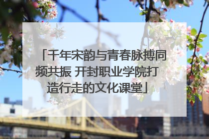 千年宋韵与青春脉搏同频共振 开封职业学院打造行走的文化课堂