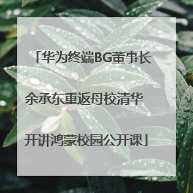 华为终端BG董事长余承东重返母校清华 开讲鸿蒙校园公开课