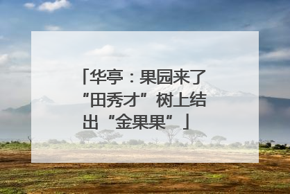 华亭：果园来了“田秀才”树上结出“金果果”