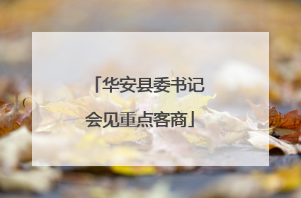 华安县委书记会见重点客商