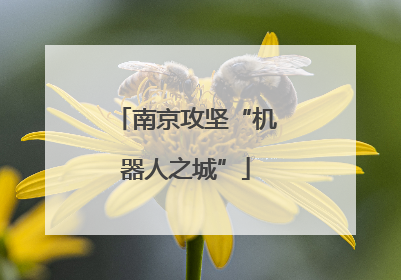 南京攻坚“机器人之城”