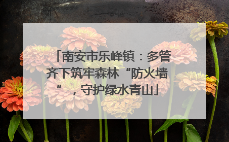 南安市乐峰镇：多管齐下筑牢森林“防火墙”，守护绿水青山