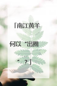 南江黄羊何以“出圈”？