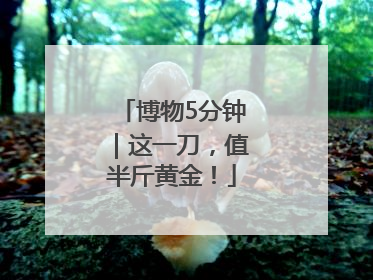 博物5分钟｜这一刀，值半斤黄金！