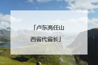 卢东亮任山西省代省长