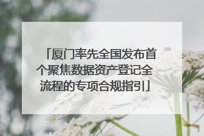 厦门率先全国发布首个聚焦数据资产登记全流程的专项合规指引