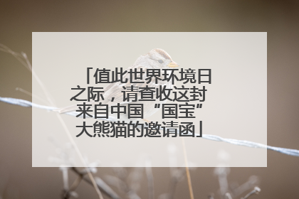 值此世界环境日之际，请查收这封来自中国“国宝”大熊猫的邀请函