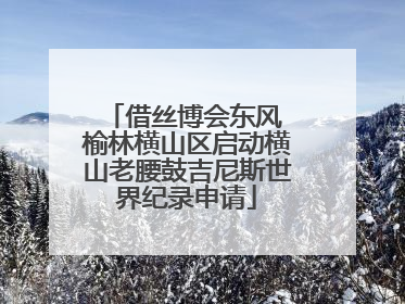 借丝博会东风 榆林横山区启动横山老腰鼓吉尼斯世界纪录申请