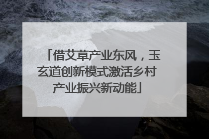 借艾草产业东风，玉玄道创新模式激活乡村产业振兴新动能