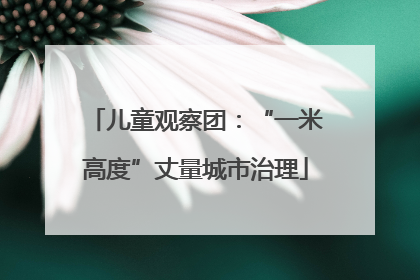 儿童观察团：“一米高度”丈量城市治理