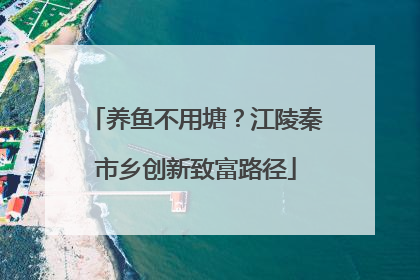 养鱼不用塘？江陵秦市乡创新致富路径