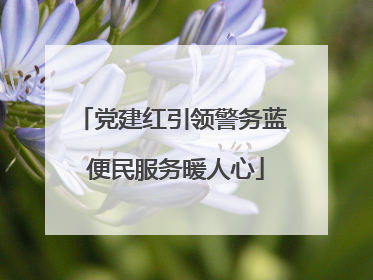 党建红引领警务蓝 便民服务暖人心