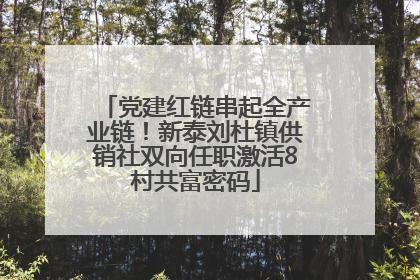 党建红链串起全产业链！新泰刘杜镇供销社双向任职激活8村共富密码