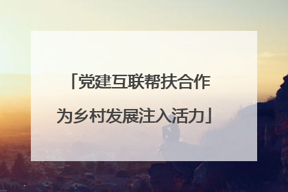 党建互联帮扶合作 为乡村发展注入活力