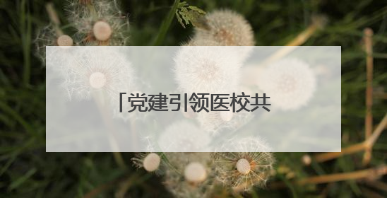 党建引领医校共建共筑儿童青少年心理健康防线