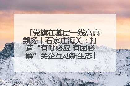 党旗在基层一线高高飘扬丨石家庄海关：打造“有呼必应 有困必解”关企互动新生态