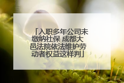 入职多年公司未缴纳社保 成都大邑法院依法维护劳动者权益这样判